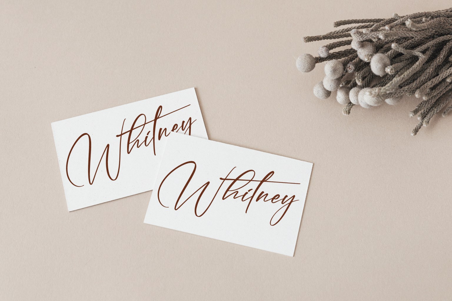 Jeotta Field 字体下载