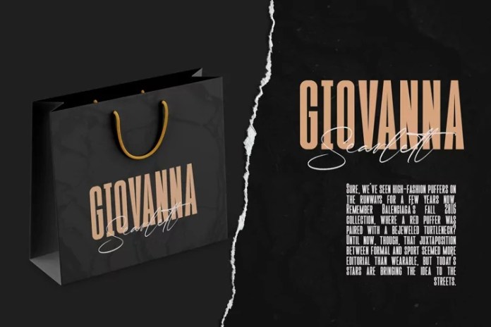 The Chatalestick Sans 字体下载