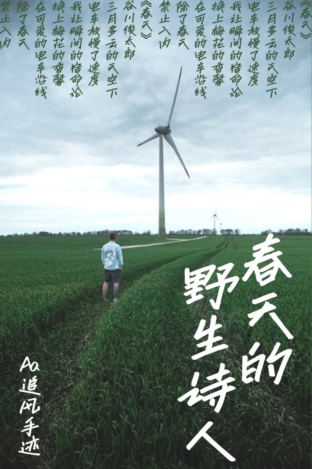 字体合辑推荐 | 春天的野生诗人