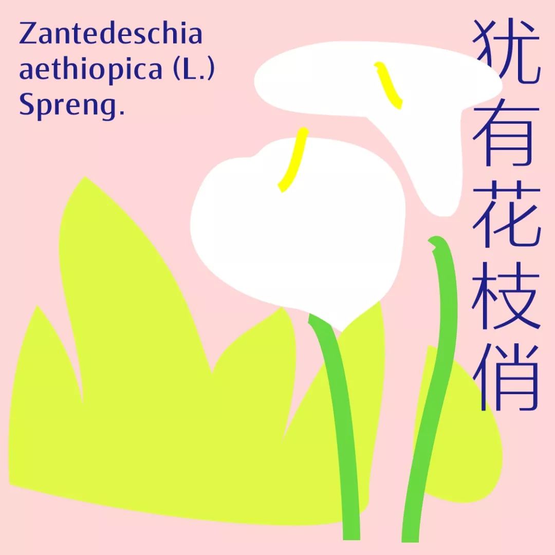 方正锐正黑简体 ExtraBold