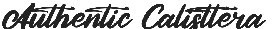 Authentic Calisttera.otf字体下载