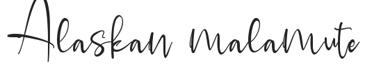 Alaskan malamute.ttf字体下载