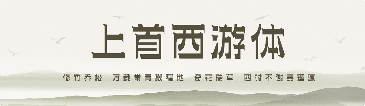 上首西游体