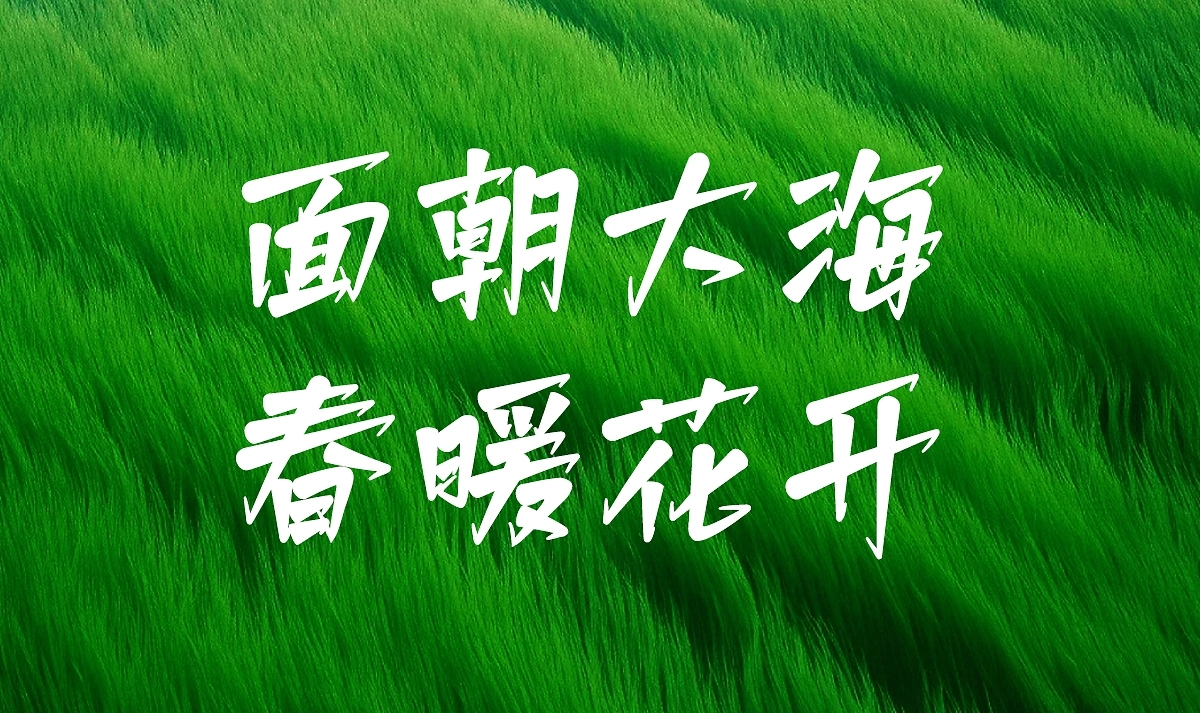 白路棒棒手写体