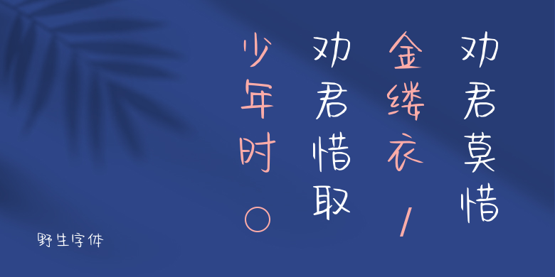 野生字体