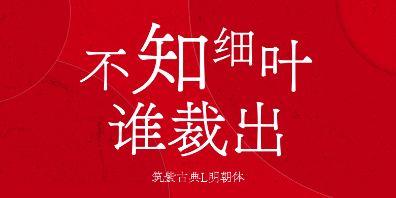 筑紫古典L明朝体