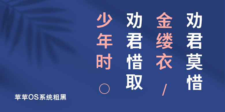 苹苹OS系统粗黑