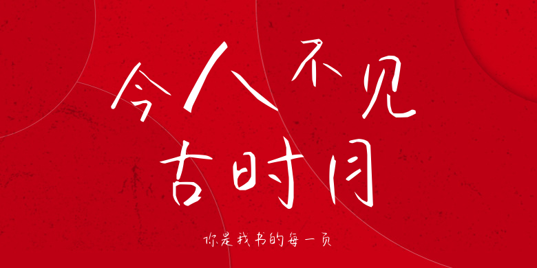 你是我书的每一页