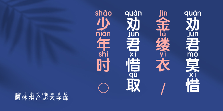 圆体拼音超大字库