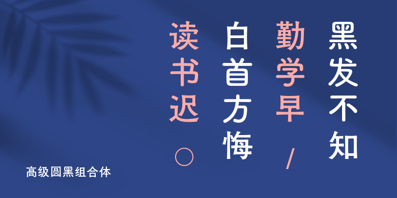 高级圆黑组合体