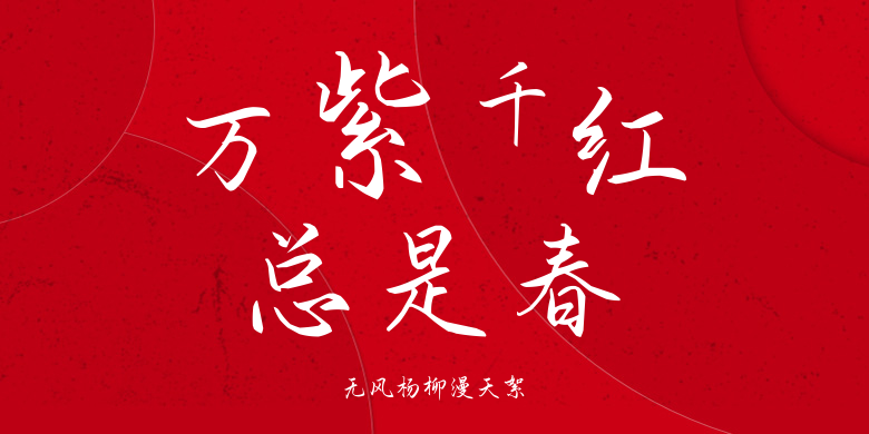 无风杨柳漫天絮