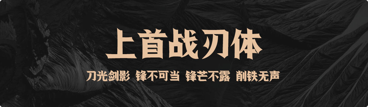 上首战刃体