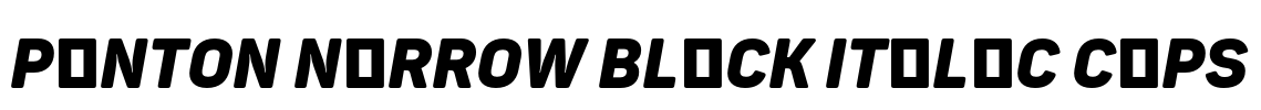 Panton Narrow Black Italic Caps