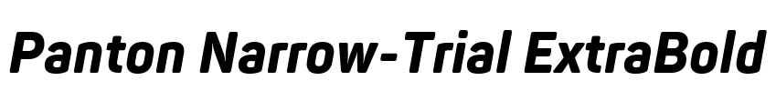 Panton Narrow-Trial ExtraBold