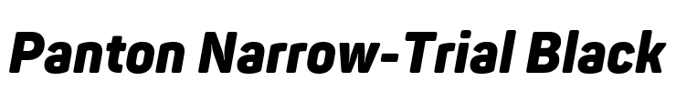 Panton Narrow-Trial Black