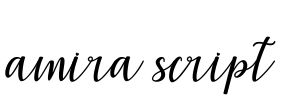 amira script