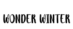 Wonder Winter