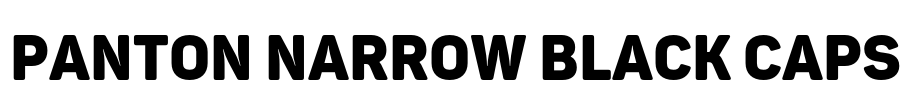 Panton Narrow Black Caps