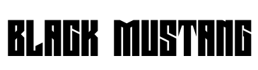 Black Mustang