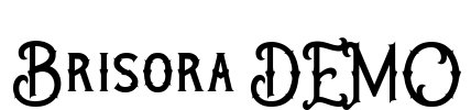 Brisora DEMO