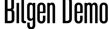 Bilgen Demo