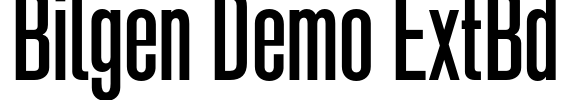 Bilgen Demo ExtBd