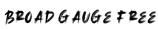 Broad Gauge Free