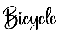 Bicycle