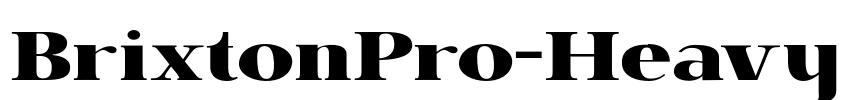 BrixtonPro-Heavy