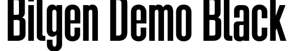 Bilgen Demo Black