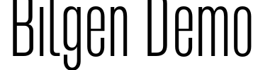 Bilgen Demo