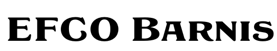 EFCO Barnis