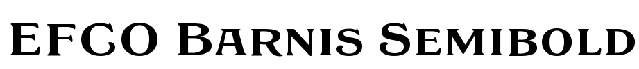 EFCO Barnis Semibold