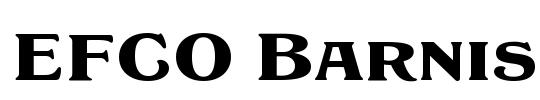 EFCO Barnis
