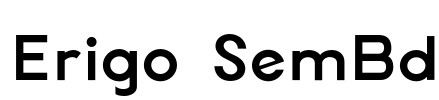 Erigo SemBd