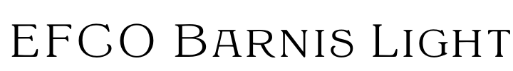 EFCO Barnis Light