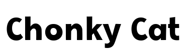 Chonky Cat