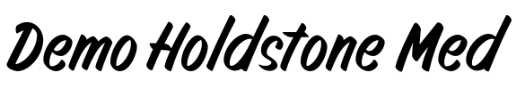 Demo Holdstone Med