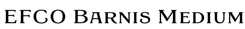 EFCO Barnis Medium