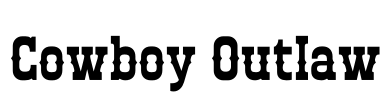 Cowboy Outlaw