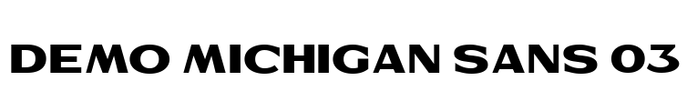 Demo Michigan Sans 03