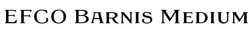 EFCO Barnis Medium