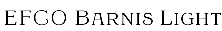 EFCO Barnis Light