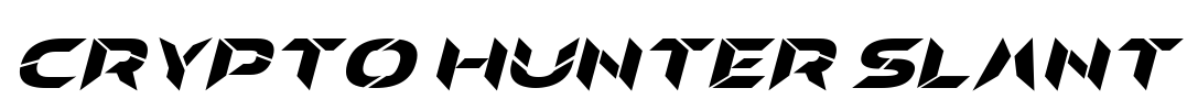 Crypto Hunter Slant