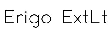 Erigo ExtLt