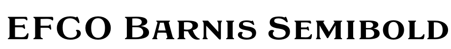 EFCO Barnis Semibold