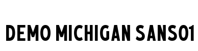 Demo Michigan Sans01
