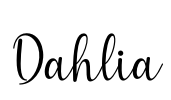 Dahlia
