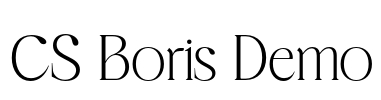 CS Boris Demo