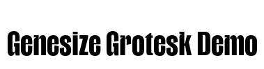 Genesize Grotesk Demo